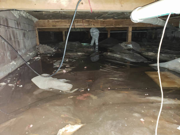 Trusted Water Damage Restoration in Othello, WA | Fast, Reliable, and Ready to Assist You